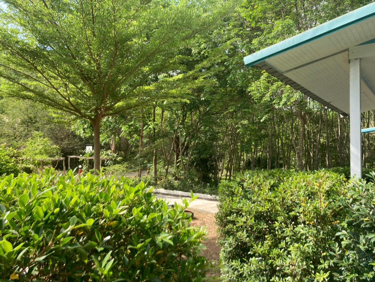 Homestay Baan Seefa Kohyaoyai *